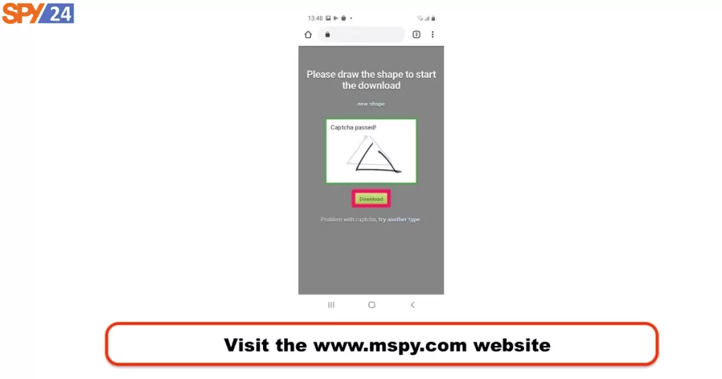 download mspy
