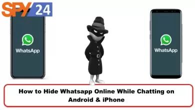 How to Hide Whatsapp Online While Chatting on Android & iPhone