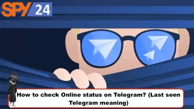 How to check the Online status on Telegram? (Last seen Telegram meaning)