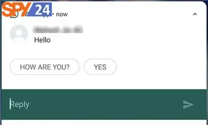 how to hide online in whatsapp while chatting without any app