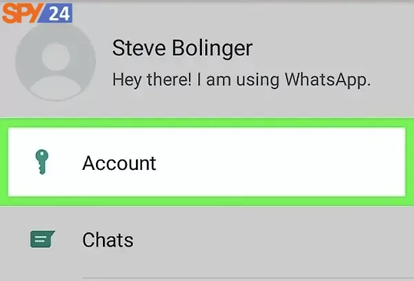 whatsapp online status while chatting3