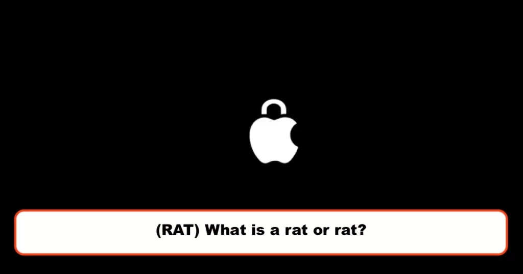 (RAT) What is a rat or rat?