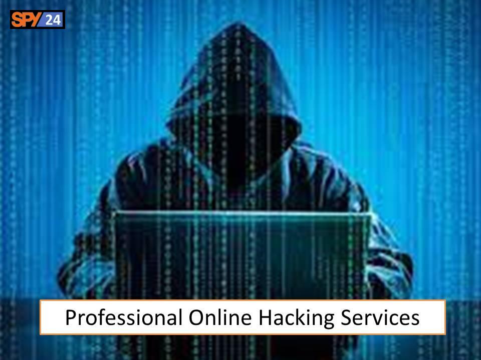 Professional Online Hacking Services