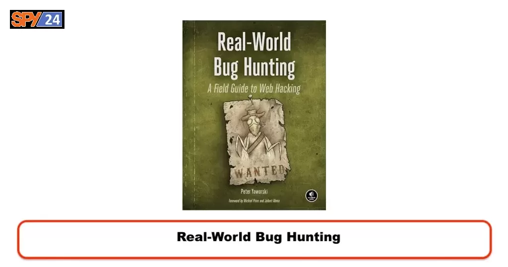Real-World Bug Hunting