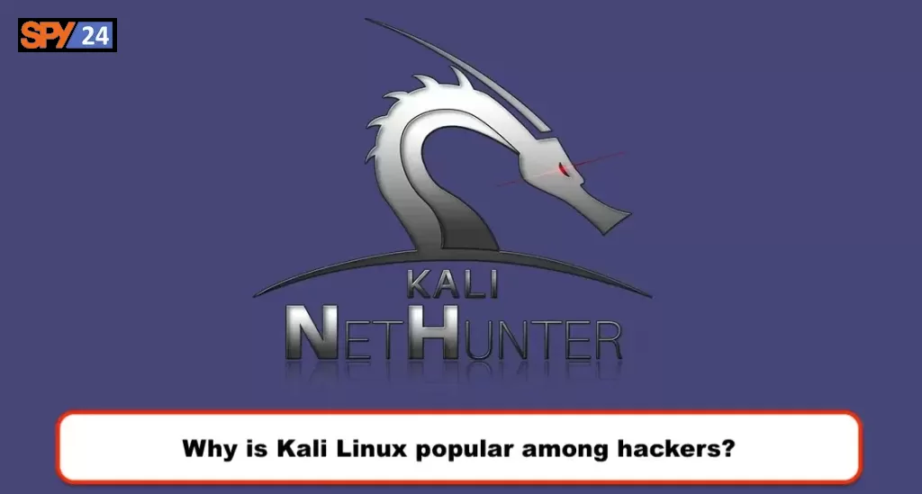 Why is Kali Linux popular among hackers?